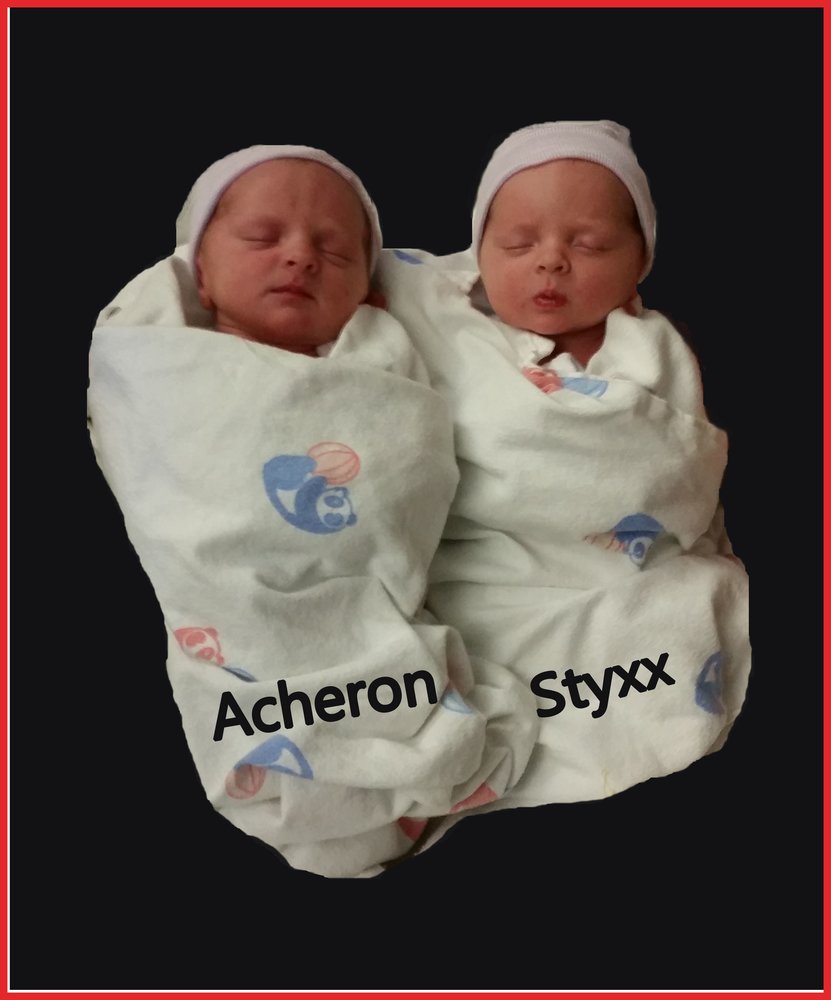 Styxx Hickman